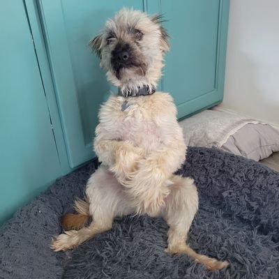 tedhenk94's profile picture. 