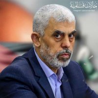 fakhry alaameree (@falaameree) 's Twitter Profile