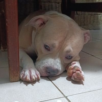 nthn_crn's profile picture. 🐯💛|Freelance Director and Photographer|20|Veedoll hehe|Singer-Songwriter|