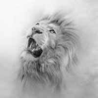💖Abba the Alpha and Omega (@jehovafather777) 's Twitter Profile