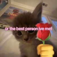 backtobackcreator (@backtojungle7) 's Twitter Profile