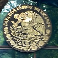 Guillermo A (@vecinomhatento) 's Twitter Profile