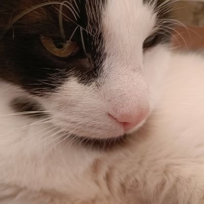 steffi9784's profile picture. hard Thinker
Allways Sarcastic
true to myself
Never giving up