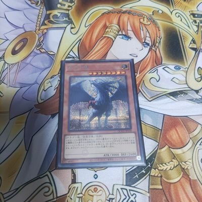 遊戯王OCG 休業中 野球 ホークス 推しは作らない主義 1~4軍とアマチュア野球を追いかけています