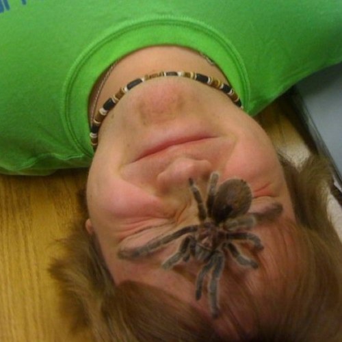 deanatello's profile picture. Hey im dean