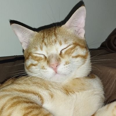 njtamayo61's profile picture. Ecclesiastes 3:11 // Registered Nurse //