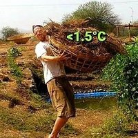 David (@dave_c0des) 's Twitter Profile Photo