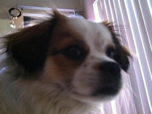 wvillalta's profile picture. a soul without words has no meaning of existence