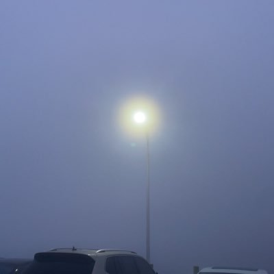 youxi7's profile picture. 祝我发财暴富好运连连