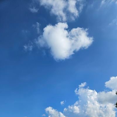 yoongijimin77's profile picture. even the  darkest night will end and the sun will rise🫶💜