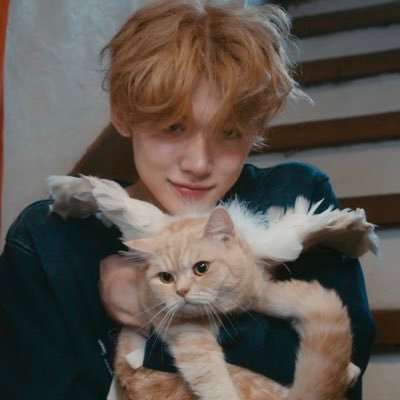 chiweiiii's profile picture. 