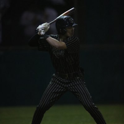 SebastianP8831's profile picture. @WarnerUBaseball