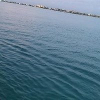 Yassirsuhail Bn99 (@yassirsuhailb) 's Twitter Profile