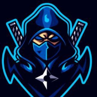 VaibhavP_Codes's profile picture. First Year Btech(CSE)Student Pursuing his passion