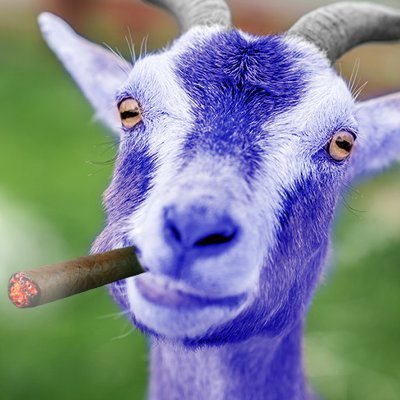 StogieGoat🔞さんのプロフィール画像