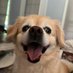 Lilly Dean (@tambracornelius) Twitter profile photo Lilly Dean (@tambracornelius) Twitter profile photo