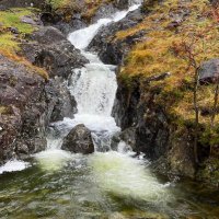 CascadeCumbria (@northwestfoss) 's Twitter Profile Photo CascadeCumbria (@northwestfoss) 's Twitter Profile Photo