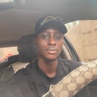 Opeyemi (UI/UX designer | Web Dev) (@acealeps) 's Twitter Profile