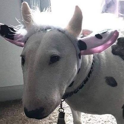 hk_tyu89's profile picture. 