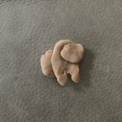 Someguy65434's profile picture. 67 entries required for giveaway