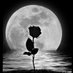 learn more (@hbyhbyb779086) Twitter profile photo