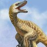 AlexBelln1's profile picture. 