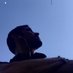 Carlos M (You know the rest) (@michaellostmind) Twitter profile photo Carlos M (You know the rest) (@michaellostmind) Twitter profile photo