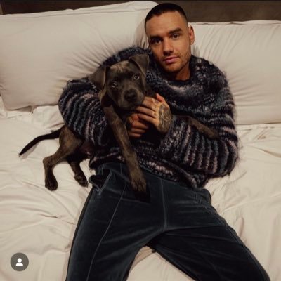 LiamsPriincess's profile picture. angels without wings are called idols ❤️2014/14/06❤️