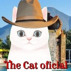 guest_mexico's profile picture. Cuenta oficial del mejor Vtuber de roblox  soy un gato regio que busca amigos, que se arme la carne asada no? https://t.co/6B8hpUwOvy