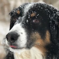 JulH (@julh52) 's Twitter Profile
