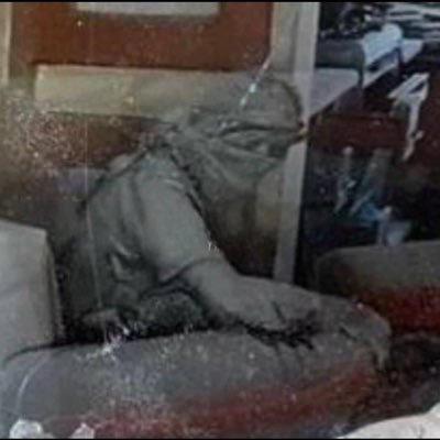 NihatCelik1988's profile picture. 🇵🇸🇹🇷