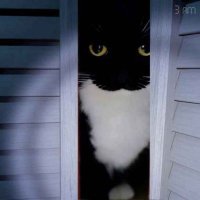 Sparkydoesthings (@sparkydoesart) 's Twitter Profile