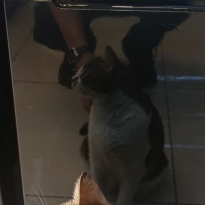 AsyKrait's profile picture. 🤡