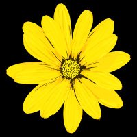 The Healthiest Website 🌼 (@thehealthiestw) 's Twitter Profile