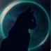 ro𓃠 (@blackcatro) Twitter profile photo ro𓃠 (@blackcatro) Twitter profile photo