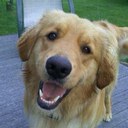 Jackie Benham - @jcbeano2 - Twitter