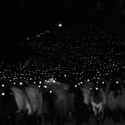 DegenGoats's profile picture. Unleash soon. On #Solana green fields.