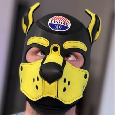 Pup Scrappy Profile