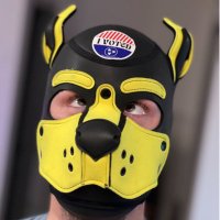 Pup Scrappy (@pup_scrappy) 's Twitter Profile