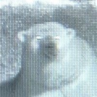 grtrkkgrkt.xyz @ ☁️ (@func_rotating) 's Twitter Profile