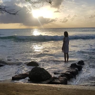 SoapboxMs's profile picture. Definitely a woman. Former something or another. Has the UK common sense gone to France in a deflated dinghie?