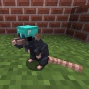 Des fois j'disparais mais j'reviens toujours