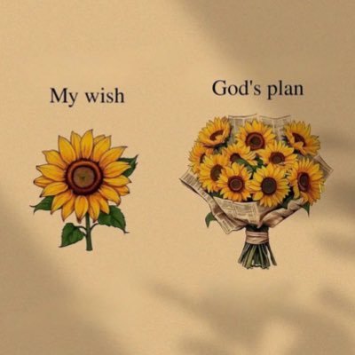 za_ayad2's profile picture. 