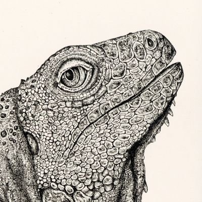 ひいらぎ−ペン画さんのプロフィール画像