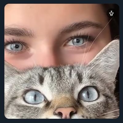Έφτιακσα τουίτερ. Όη μάναμ. (she/her)
🔗 https://t.co/KuN76h6JZa 🧡 https://t.co/69HS9jGJX8