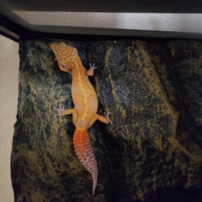 utako_written's profile picture. 本垢→@utako_st
書いた物を晒すようのアカウントです。