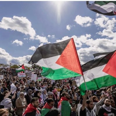 😭😭😭😭🙏🙏pls so love tie Palestine 🇵🇸 thousands of people are dying here everyday 😭😭🙏🙏