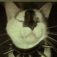 Rhizor_Red_MC's profile picture. I do art else where :)!! https://t.co/nGuf3nGlIl