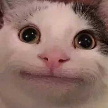 Auriさんのプロフィール画像