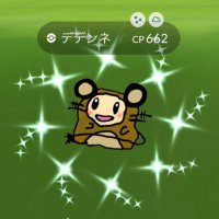 てゃ (@ritachanman____) 's Twitter Profile Photo てゃ (@ritachanman____) 's Twitter Profile Photo